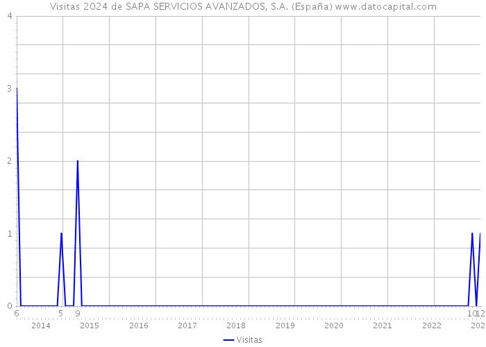 Visitas 2024 de SAPA SERVICIOS AVANZADOS, S.A. (España) 