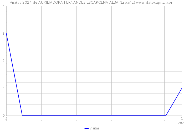 Visitas 2024 de AUXILIADORA FERNANDEZ ESCARCENA ALBA (España) 