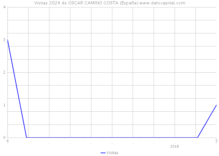 Visitas 2024 de OSCAR CAMINO COSTA (España) 