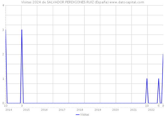 Visitas 2024 de SALVADOR PERDIGONES RUIZ (España) 