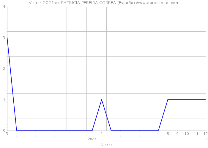 Visitas 2024 de PATRICIA PEREIRA CORREA (España) 