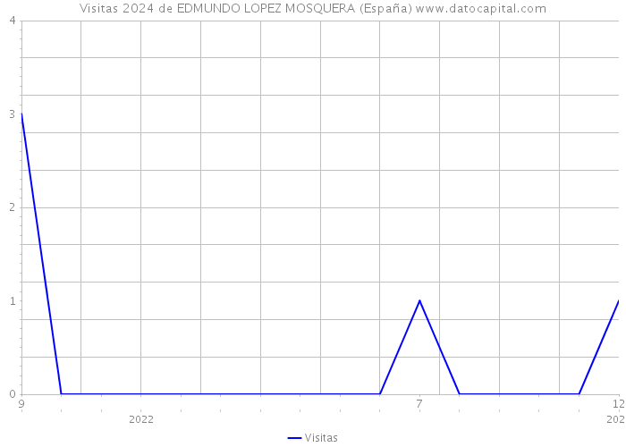 Visitas 2024 de EDMUNDO LOPEZ MOSQUERA (España) 