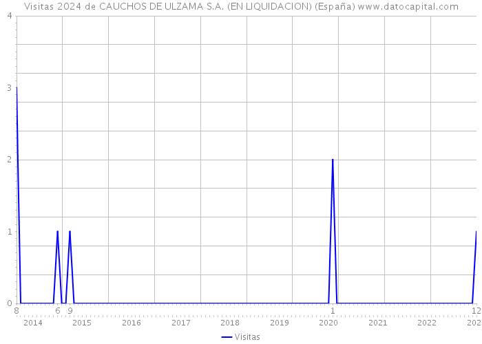 Visitas 2024 de CAUCHOS DE ULZAMA S.A. (EN LIQUIDACION) (España) 