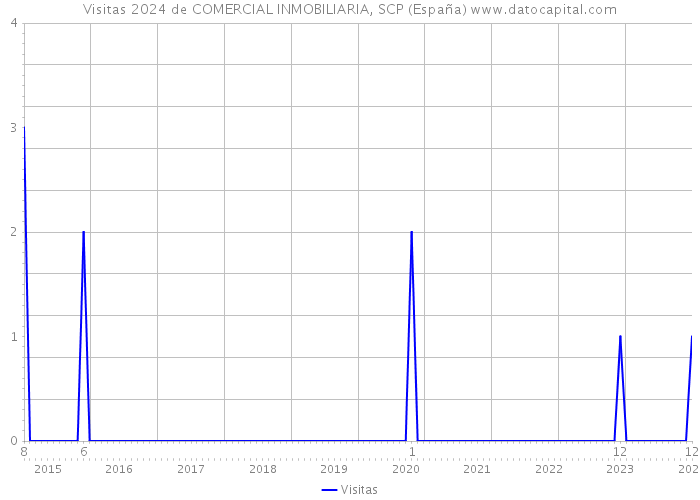 Visitas 2024 de COMERCIAL INMOBILIARIA, SCP (España) 