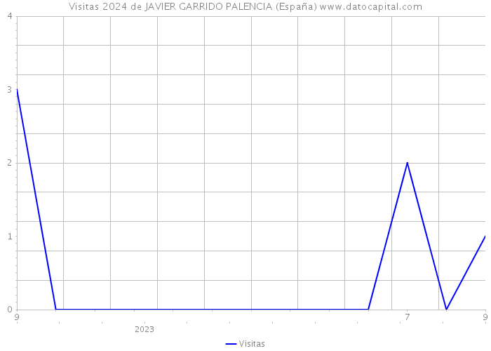 Visitas 2024 de JAVIER GARRIDO PALENCIA (España) 