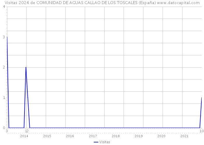 Visitas 2024 de COMUNIDAD DE AGUAS CALLAO DE LOS TOSCALES (España) 
