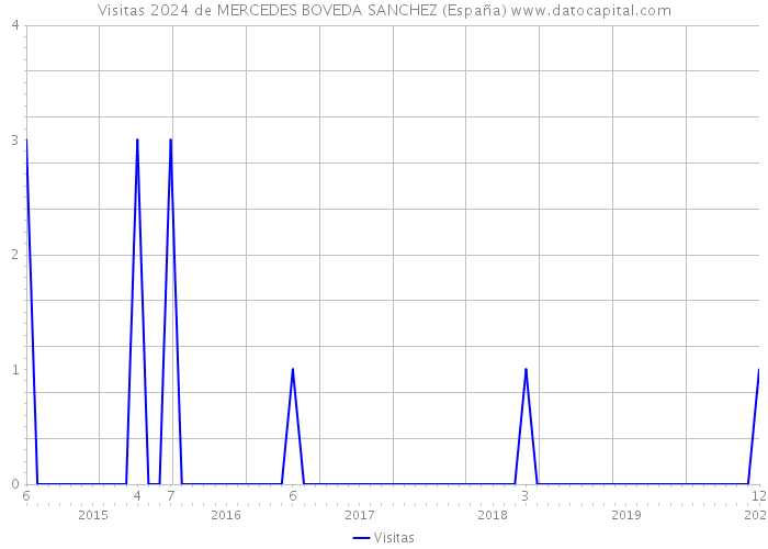 Visitas 2024 de MERCEDES BOVEDA SANCHEZ (España) 