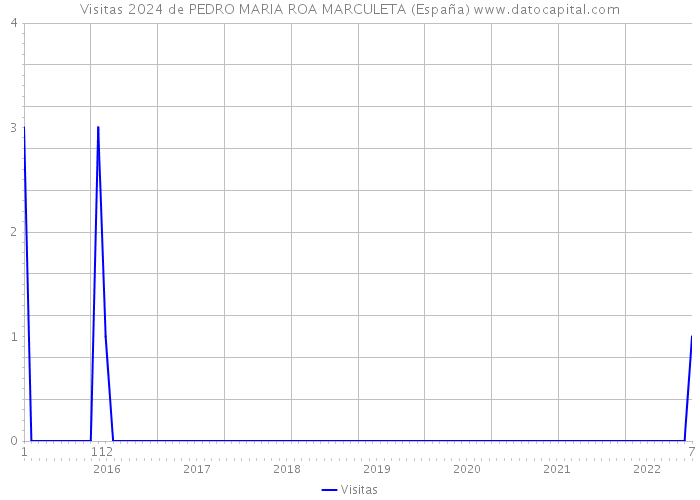 Visitas 2024 de PEDRO MARIA ROA MARCULETA (España) 