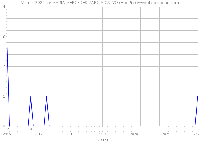 Visitas 2024 de MARIA MERCEDES GARCIA CALVO (España) 