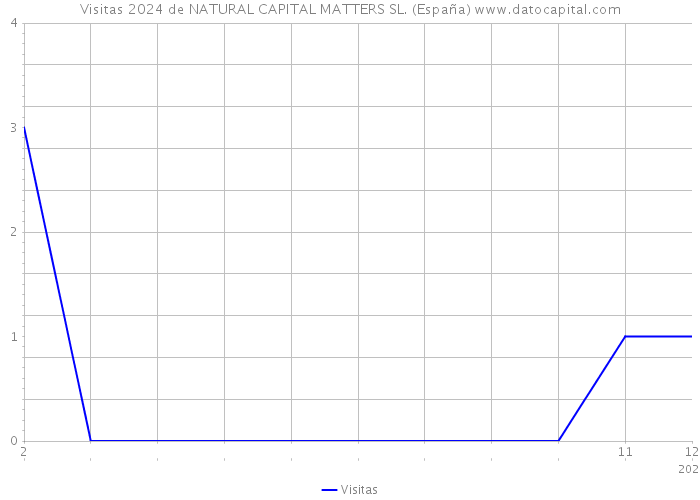 Visitas 2024 de NATURAL CAPITAL MATTERS SL. (España) 