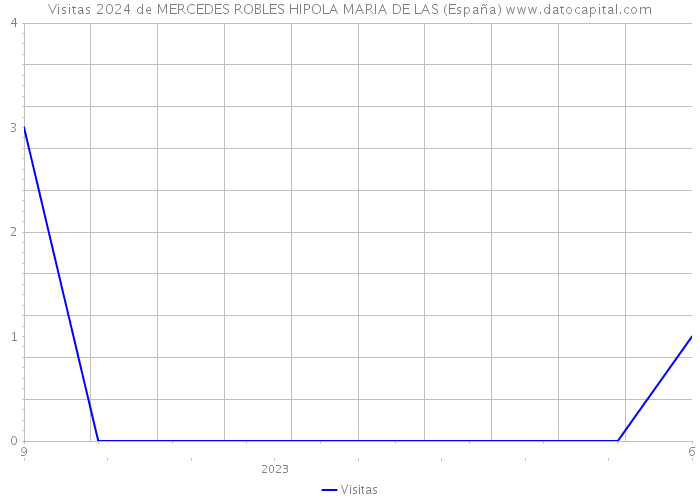 Visitas 2024 de MERCEDES ROBLES HIPOLA MARIA DE LAS (España) 