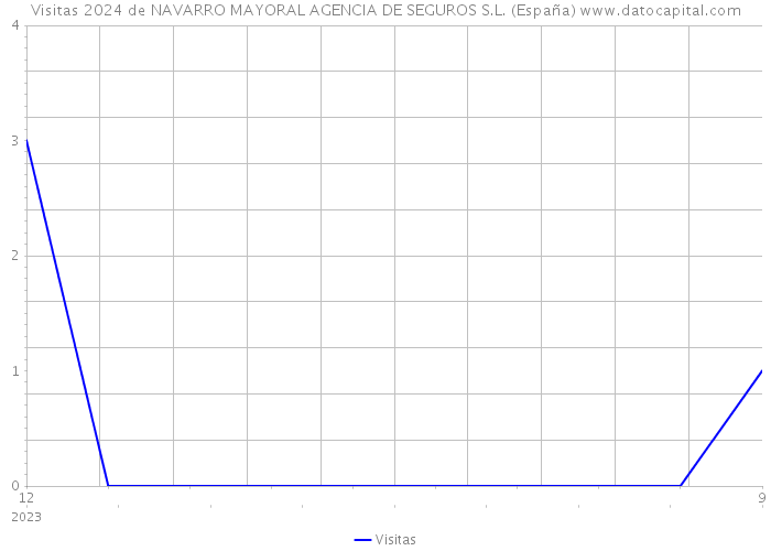 Visitas 2024 de NAVARRO MAYORAL AGENCIA DE SEGUROS S.L. (España) 