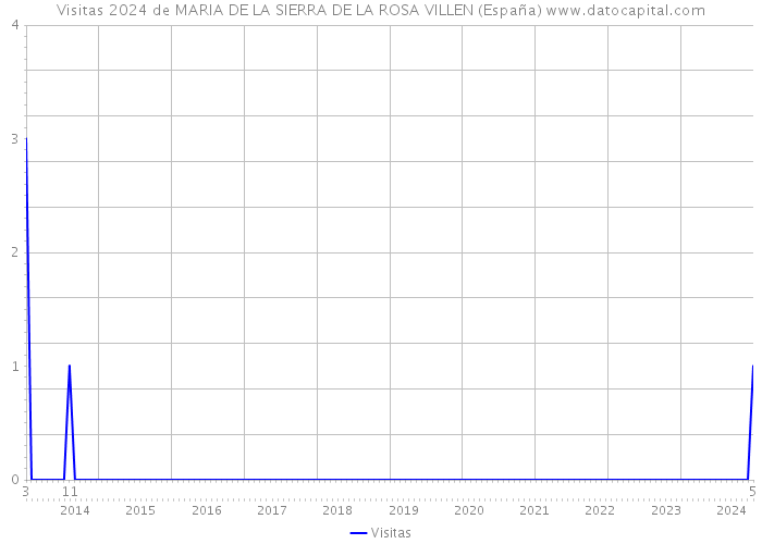 Visitas 2024 de MARIA DE LA SIERRA DE LA ROSA VILLEN (España) 