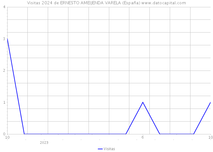 Visitas 2024 de ERNESTO AMEIJENDA VARELA (España) 