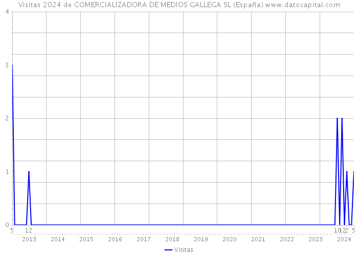 Visitas 2024 de COMERCIALIZADORA DE MEDIOS GALLEGA SL (España) 