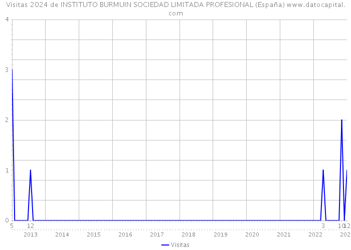 Visitas 2024 de INSTITUTO BURMUIN SOCIEDAD LIMITADA PROFESIONAL (España) 