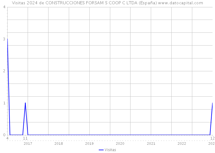 Visitas 2024 de CONSTRUCCIONES FORSAM S COOP C LTDA (España) 