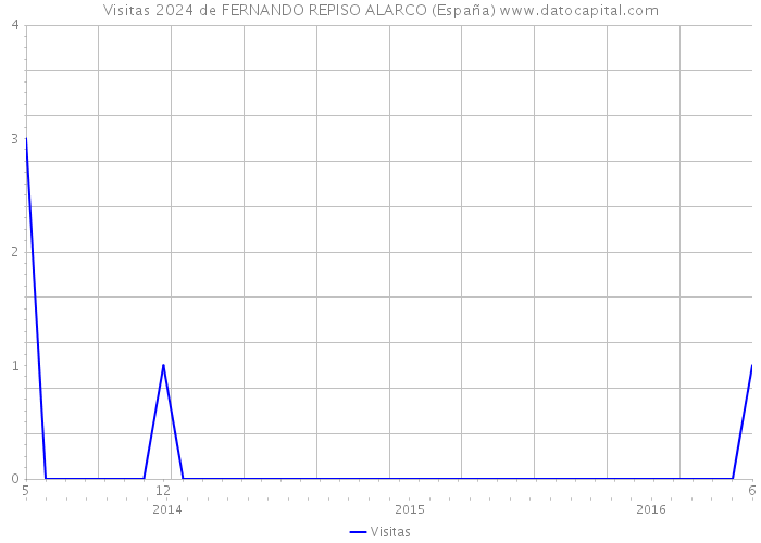 Visitas 2024 de FERNANDO REPISO ALARCO (España) 