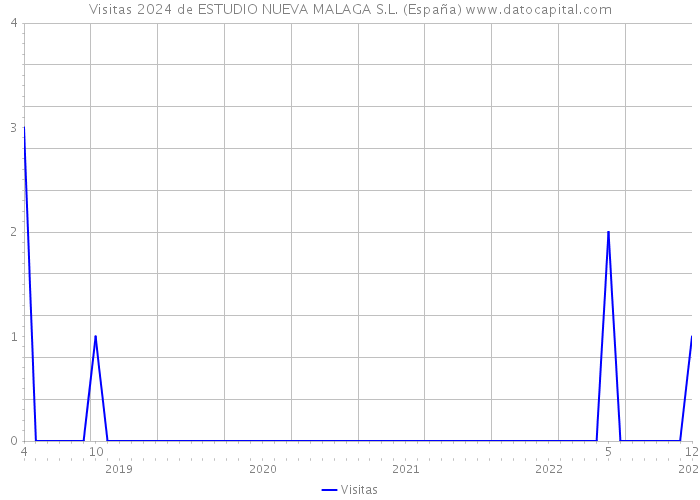 Visitas 2024 de ESTUDIO NUEVA MALAGA S.L. (España) 