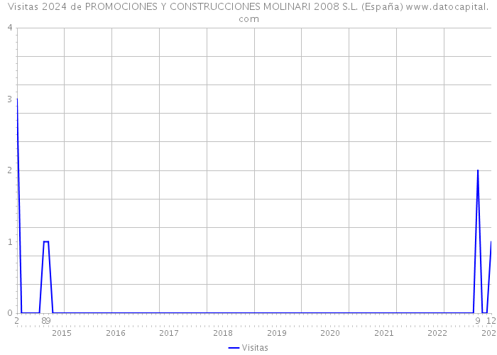 Visitas 2024 de PROMOCIONES Y CONSTRUCCIONES MOLINARI 2008 S.L. (España) 