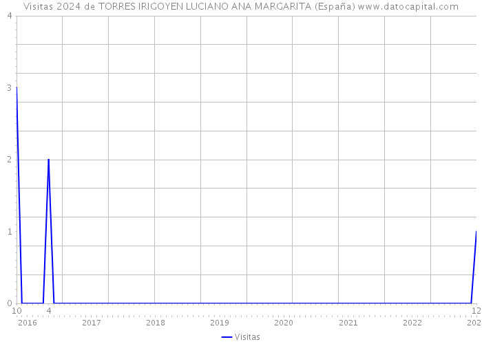 Visitas 2024 de TORRES IRIGOYEN LUCIANO ANA MARGARITA (España) 