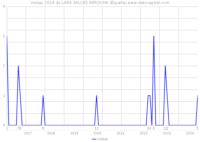 Visitas 2024 de LARA SALCES ARROCHA (España) 