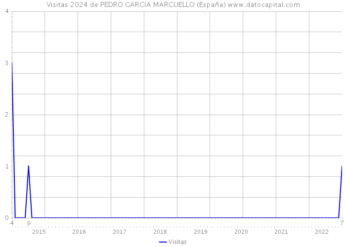 Visitas 2024 de PEDRO GARCIA MARCUELLO (España) 