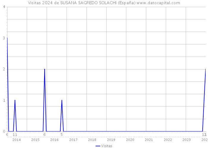 Visitas 2024 de SUSANA SAGREDO SOLACHI (España) 