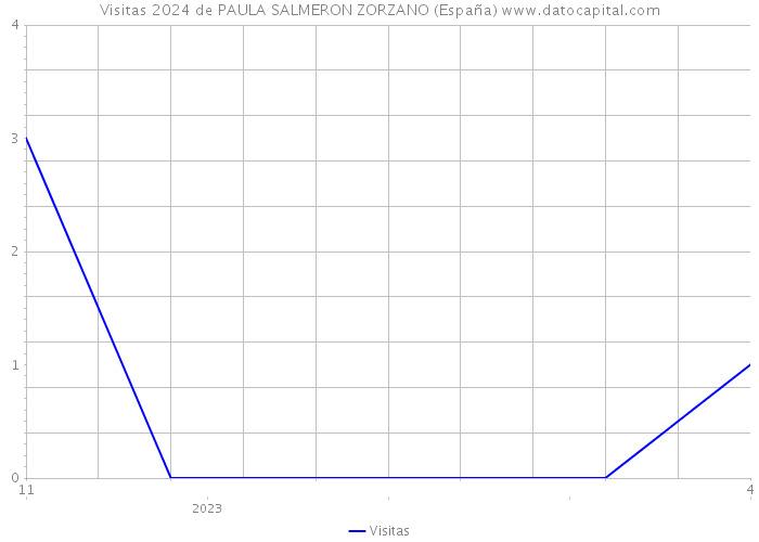 Visitas 2024 de PAULA SALMERON ZORZANO (España) 