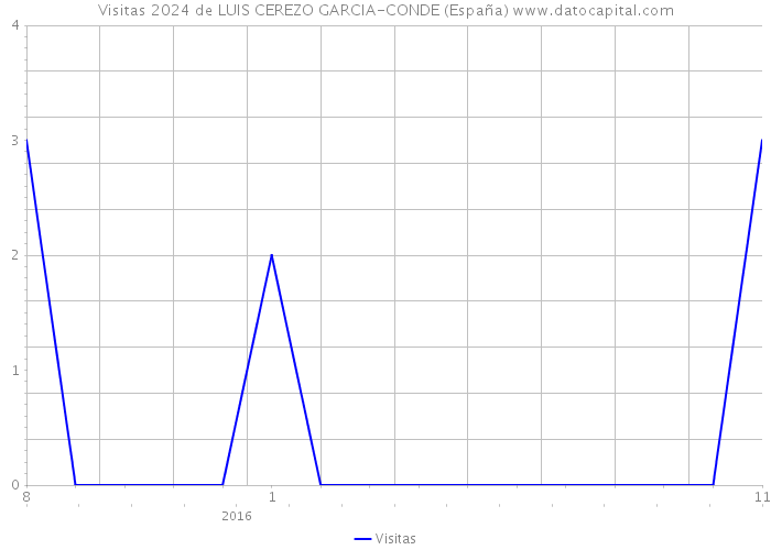 Visitas 2024 de LUIS CEREZO GARCIA-CONDE (España) 