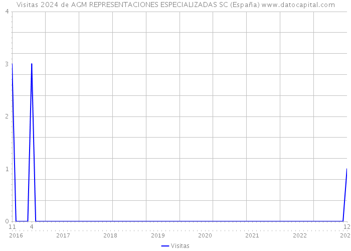 Visitas 2024 de AGM REPRESENTACIONES ESPECIALIZADAS SC (España) 