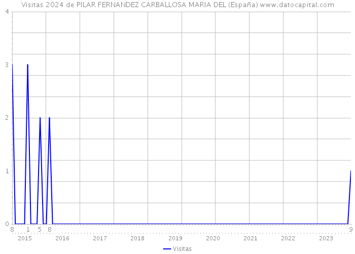 Visitas 2024 de PILAR FERNANDEZ CARBALLOSA MARIA DEL (España) 