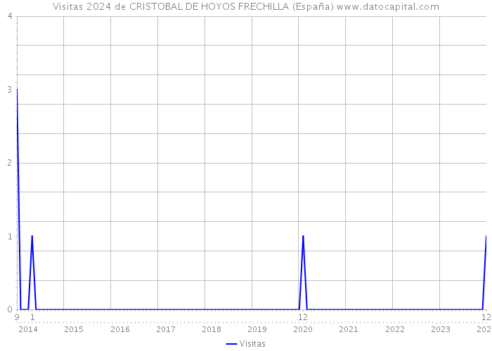 Visitas 2024 de CRISTOBAL DE HOYOS FRECHILLA (España) 