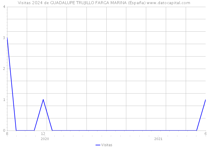 Visitas 2024 de GUADALUPE TRUJILLO FARGA MARINA (España) 