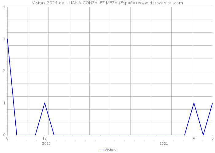 Visitas 2024 de LILIANA GONZALEZ MEZA (España) 