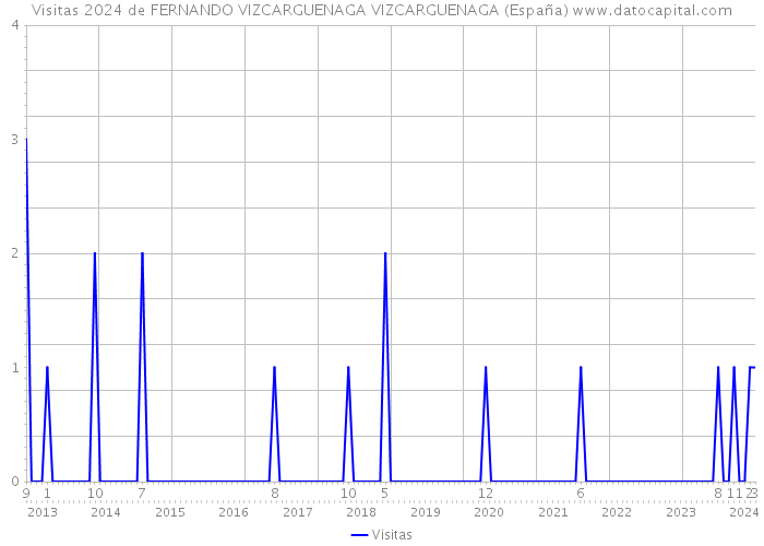 Visitas 2024 de FERNANDO VIZCARGUENAGA VIZCARGUENAGA (España) 