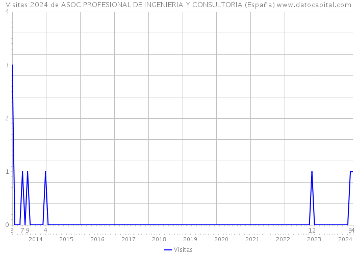 Visitas 2024 de ASOC PROFESIONAL DE INGENIERIA Y CONSULTORIA (España) 