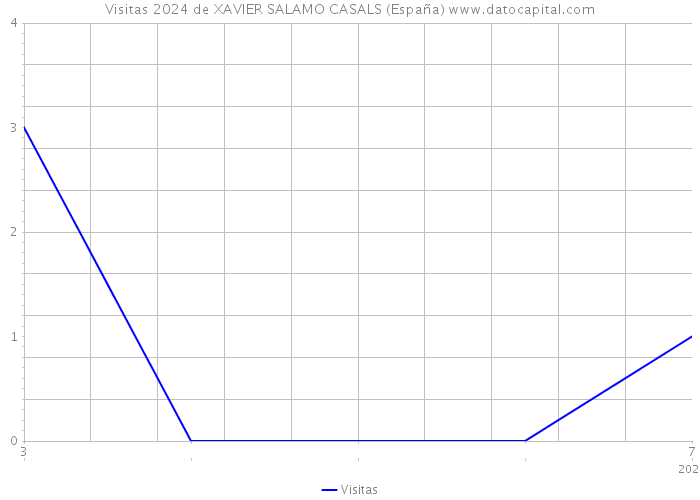 Visitas 2024 de XAVIER SALAMO CASALS (España) 