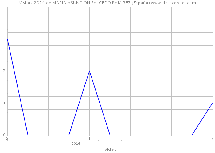 Visitas 2024 de MARIA ASUNCION SALCEDO RAMIREZ (España) 