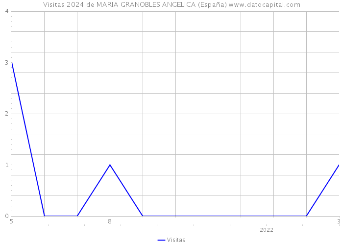 Visitas 2024 de MARIA GRANOBLES ANGELICA (España) 