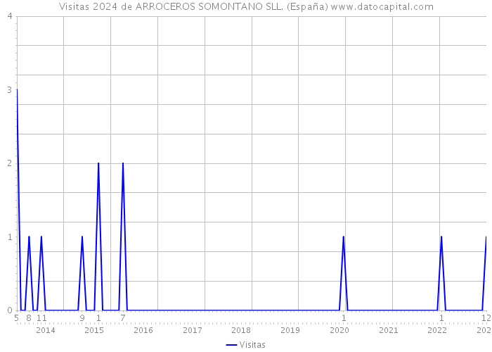 Visitas 2024 de ARROCEROS SOMONTANO SLL. (España) 