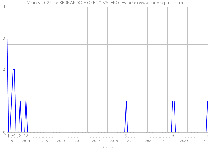 Visitas 2024 de BERNARDO MORENO VALERO (España) 