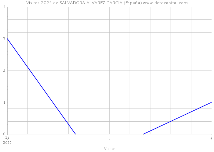 Visitas 2024 de SALVADORA ALVAREZ GARCIA (España) 