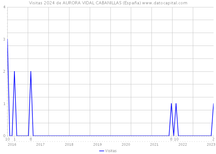 Visitas 2024 de AURORA VIDAL CABANILLAS (España) 