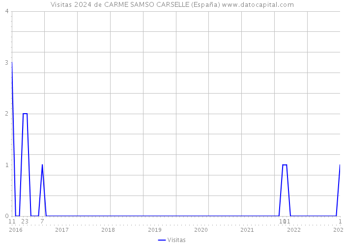 Visitas 2024 de CARME SAMSO CARSELLE (España) 
