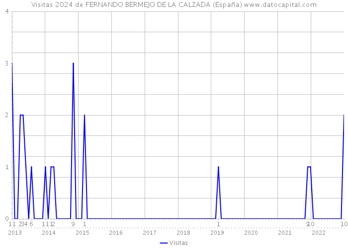 Visitas 2024 de FERNANDO BERMEJO DE LA CALZADA (España) 