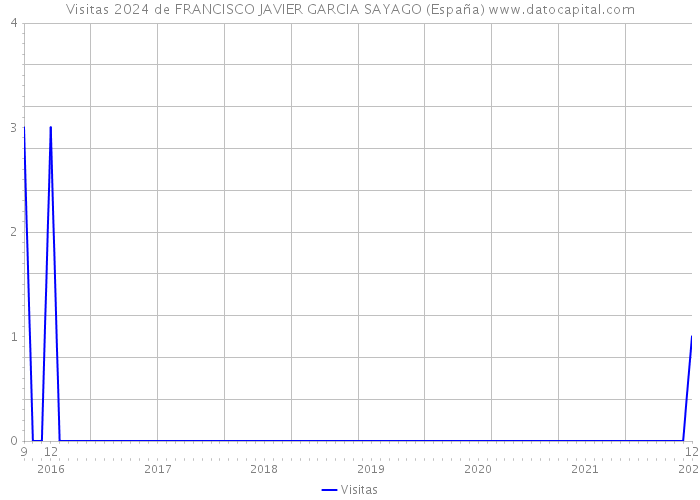 Visitas 2024 de FRANCISCO JAVIER GARCIA SAYAGO (España) 