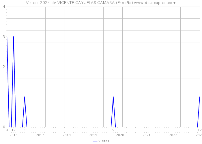 Visitas 2024 de VICENTE CAYUELAS CAMARA (España) 