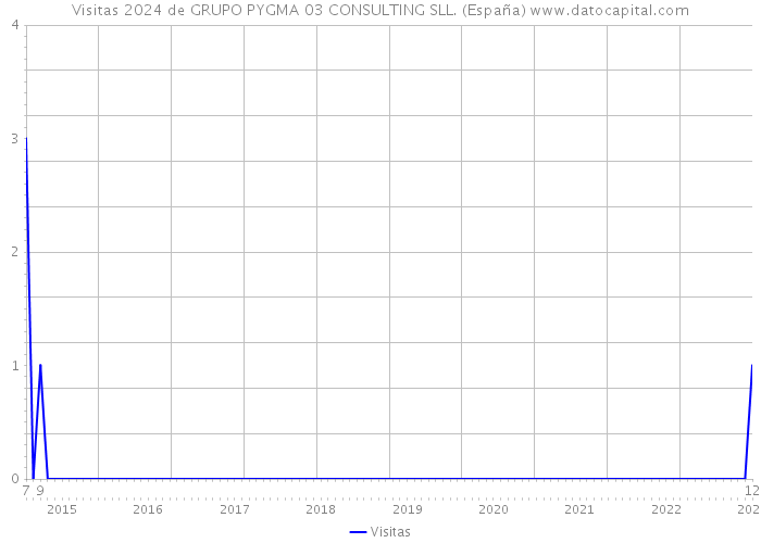 Visitas 2024 de GRUPO PYGMA 03 CONSULTING SLL. (España) 