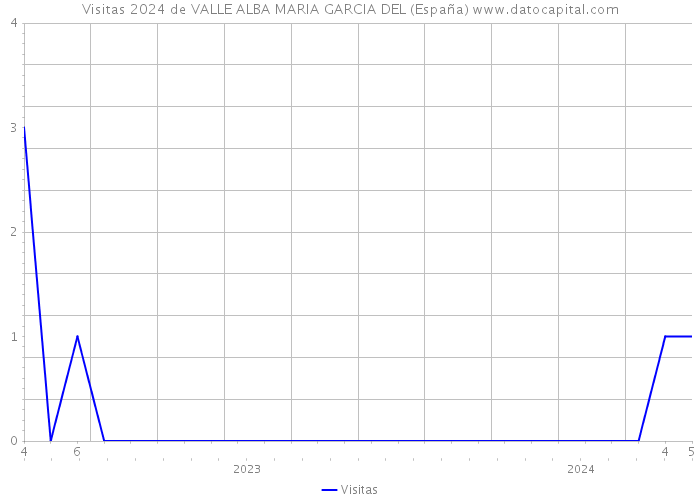Visitas 2024 de VALLE ALBA MARIA GARCIA DEL (España) 